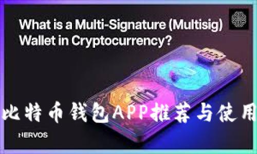 安卓比特币钱包APP推荐与使用指南