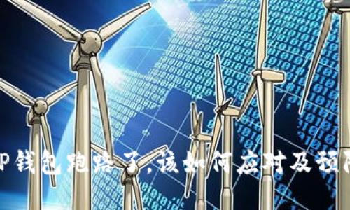 如果TP钱包跑路了，该如何应对及预防措施