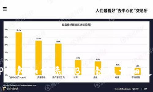 电脑TP钱包如何添加BSC链及详细使用指南