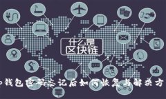tp钱包密码忘记后如何恢复