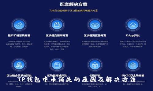 TP钱包中币消失的原因及解决方法