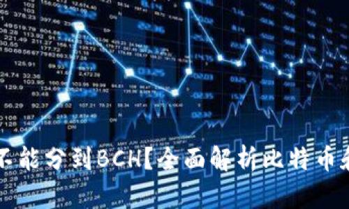 比特币在钱包里能不能分到BCH？全面解析比特币和比特币现金的关系