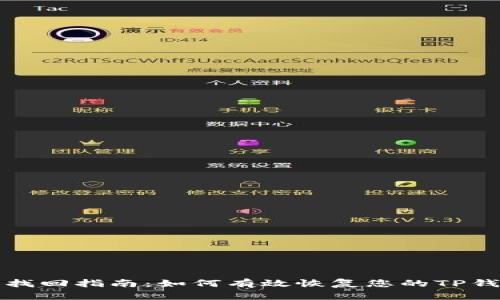 tp钱包找回指南：如何有效恢复您的TP钱包账户