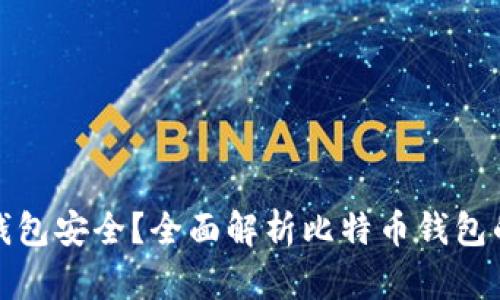 比特币放哪个钱包安全？全面解析比特币钱包的选择与安全性