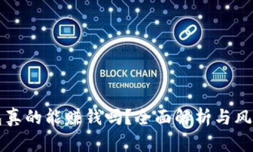 TP钱包真的能赚钱吗？全面解析与风险分析