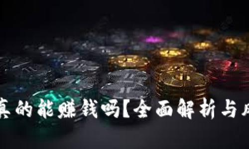 TP钱包真的能赚钱吗？全面解析与风险分析
