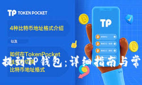 如何将美元提到TP钱包：详细指南与常见问题解答