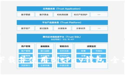 如何下载并使用BitPay钱包：全面指南