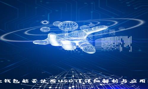 谷歌钱包能否使用USDT？详细解析与应用场景