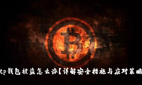 tp钱包被盗怎么办？详解安全措施与应对策略