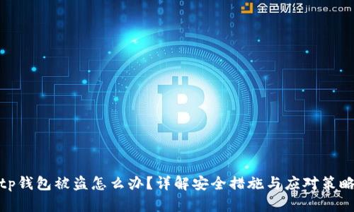 tp钱包被盗怎么办？详解安全措施与应对策略