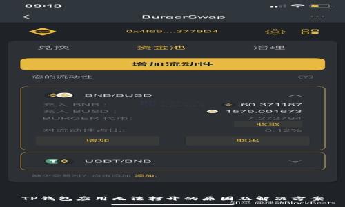 TP钱包应用无法打开的原因及解决方案