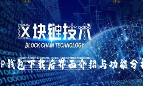 TP钱包下载后界面介绍与功能分析
