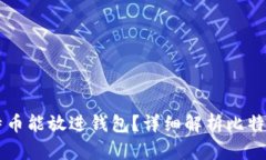 多少个比特币能放进钱包？详细解析比特币存储