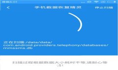 下载了假的 TP 钱包怎么办