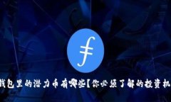 TP钱包里的潜力币有哪些？