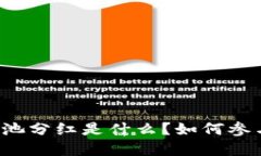 “TP钱包的资金池分红是什